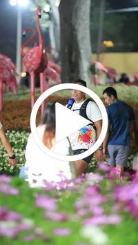 BIB:  <button type="button" onclick="openModal(27590014)" class="btn btn-primary btn-sm float-right" data-toggle="modal" data-target=".modal-high-quality">
                <i class="fa fa-download"></i> Download
                </button>